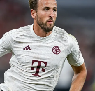 用这次机会 用这次机会